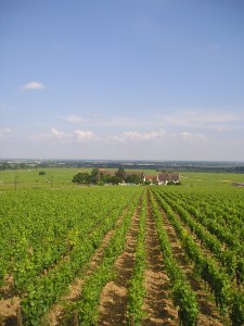 Mid-Summer