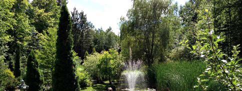 Stunning gardens