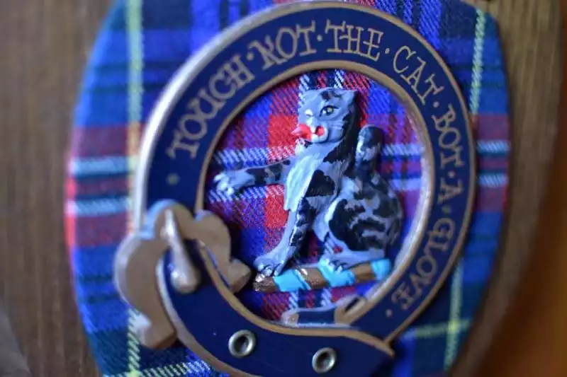 Scottish Highlander photo 15