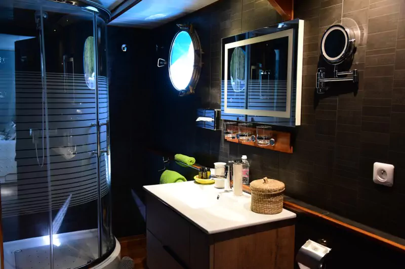 Shower ensuite 2 on the Magnolia barge