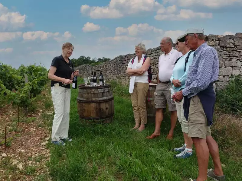 Wine tasting