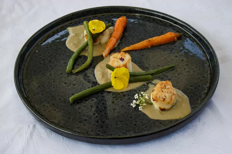 Saint Jacques scallops
