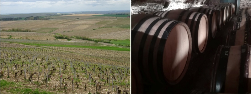 The Chablis region
