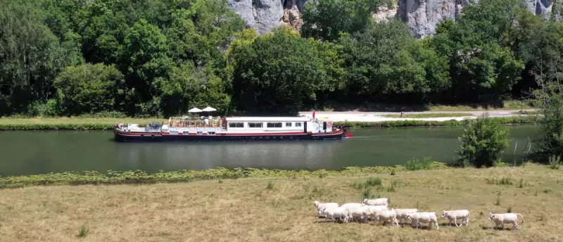 A gourmet lunch and cruise in Burgundy