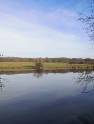 Spring is just around the corner